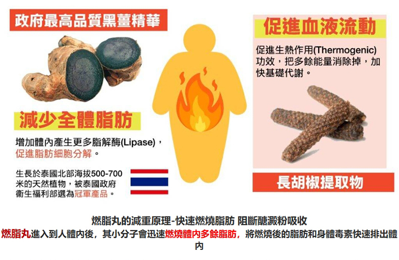 1740734626949476.jpg 790px_11.jpg