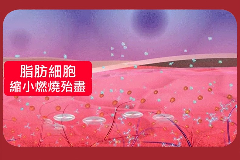 1740734647370155.jpg 790px_13.jpg