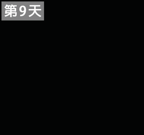 1744337180907419.gif