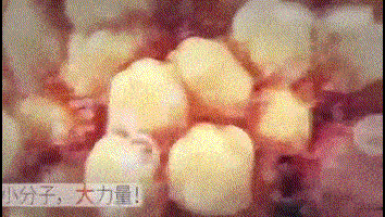1744341301400191.gif
